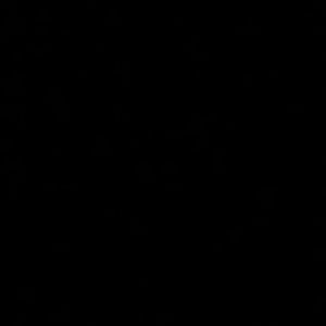 Meet your Posher, Nassir